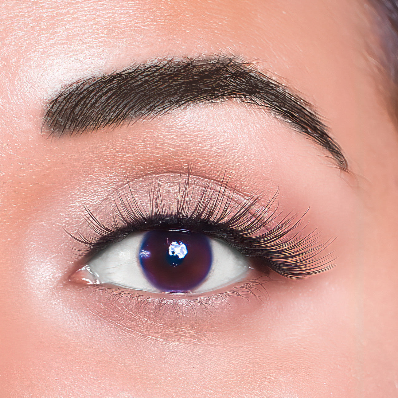 Melanie Jean Plant Fiber Lash Corazon Style, free shipping, multi use lash, glam, natural lashes