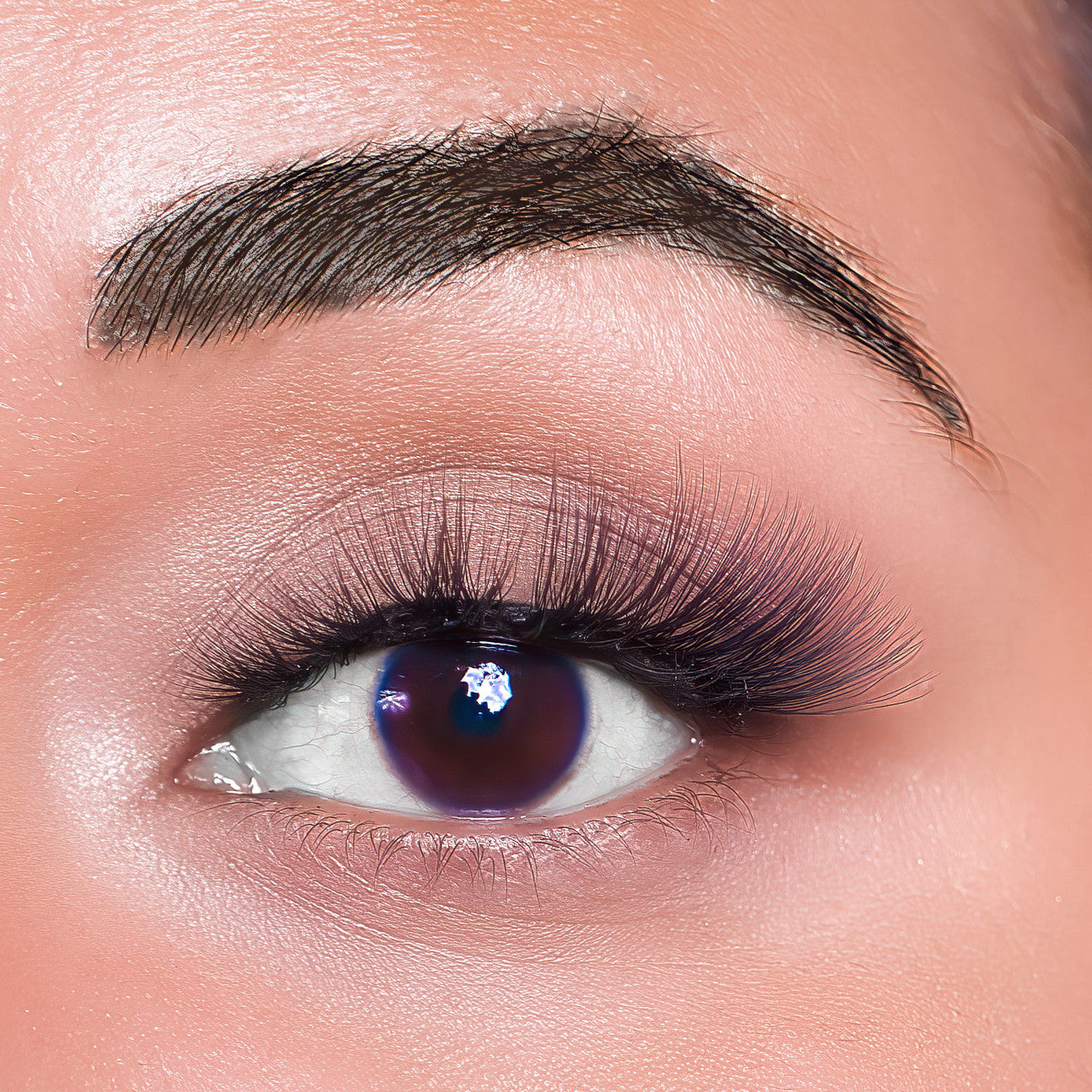 Melanie Jean Plant Fiber Nena Clusters Lash Style, free shipping, multi use lash, glamorous lashes