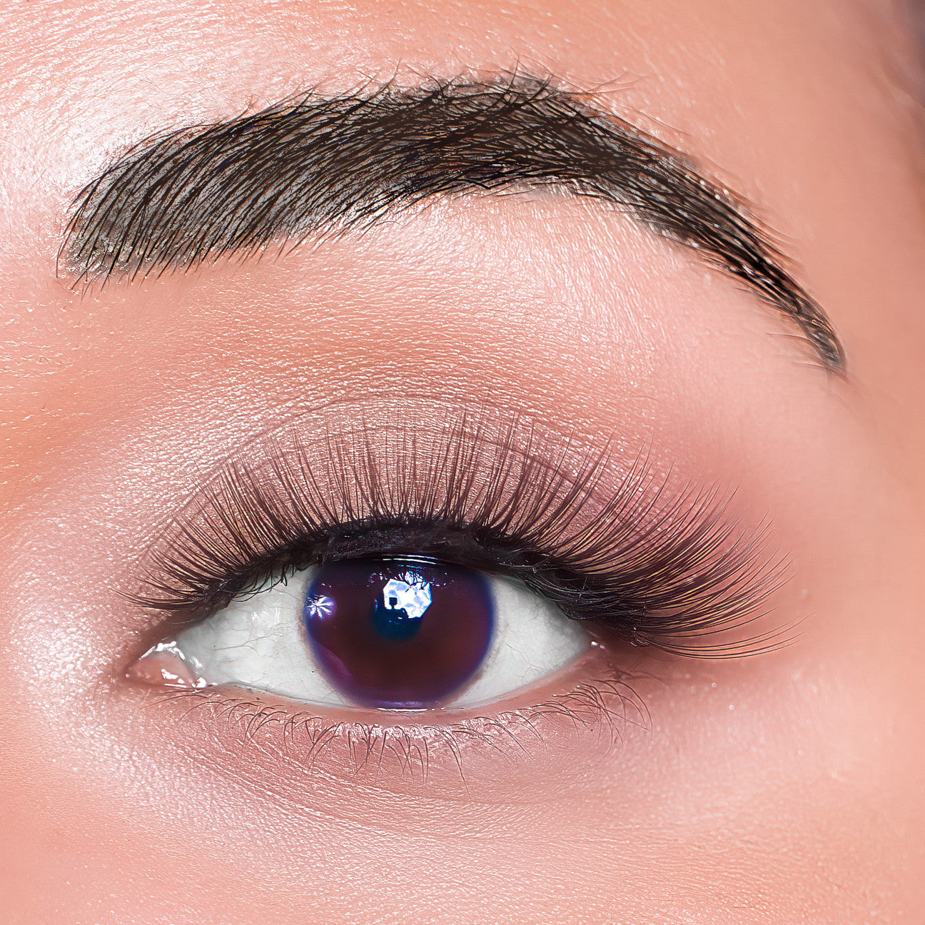 Melanie Jean Faux Silk Preciosa Lash Style, free shipping, multi use lash, glamorous lashes
