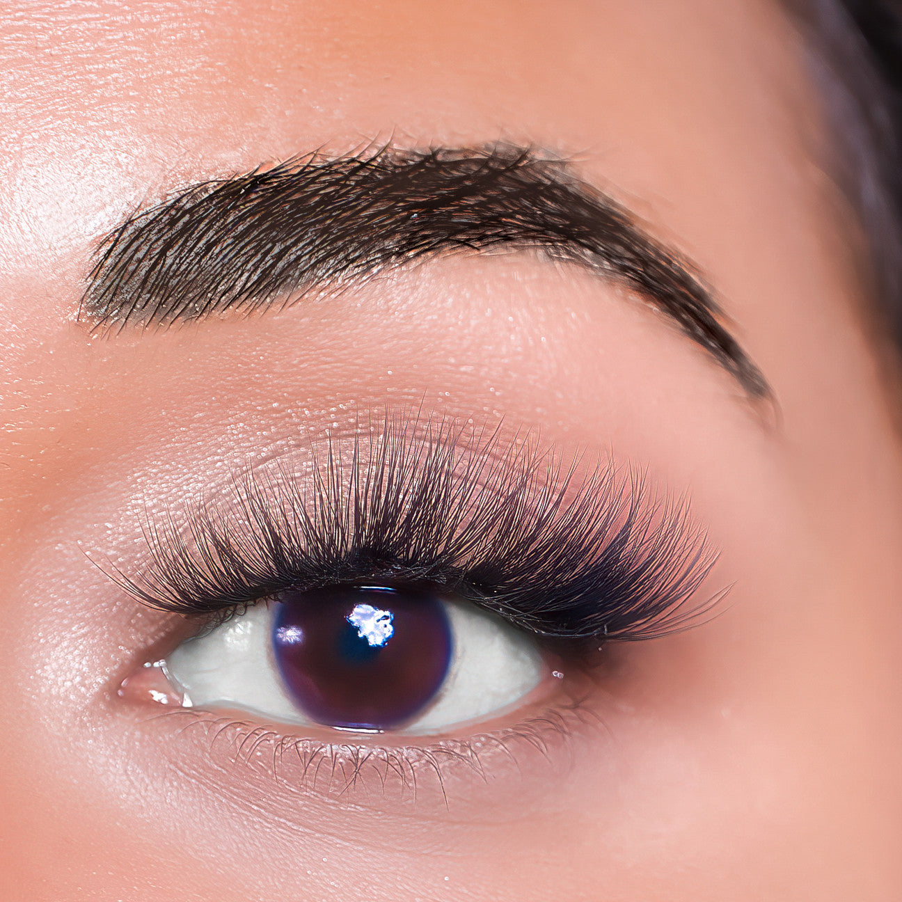 Melanie Jean Plant Fiber Reina Clusters Lash Style, free shipping, multi use lash, glamorous lashes