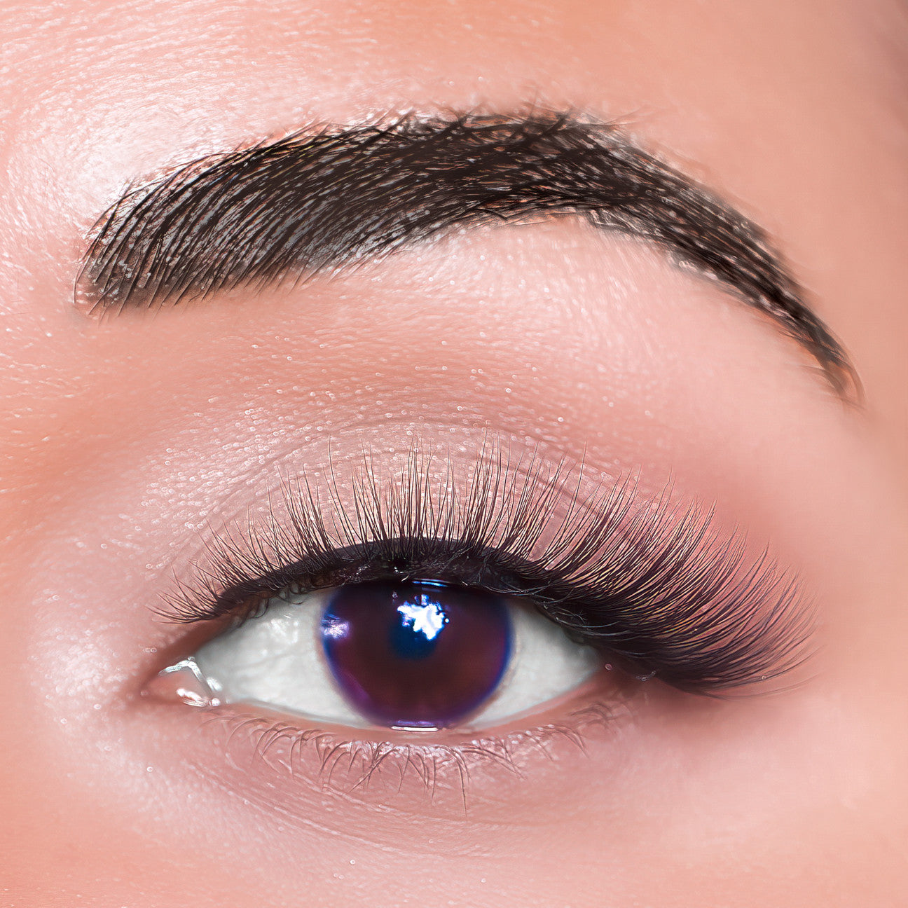 Melanie Jean Plant Fiber Spellbound Lash Style, free shipping, multi use lash, glamorous lashes