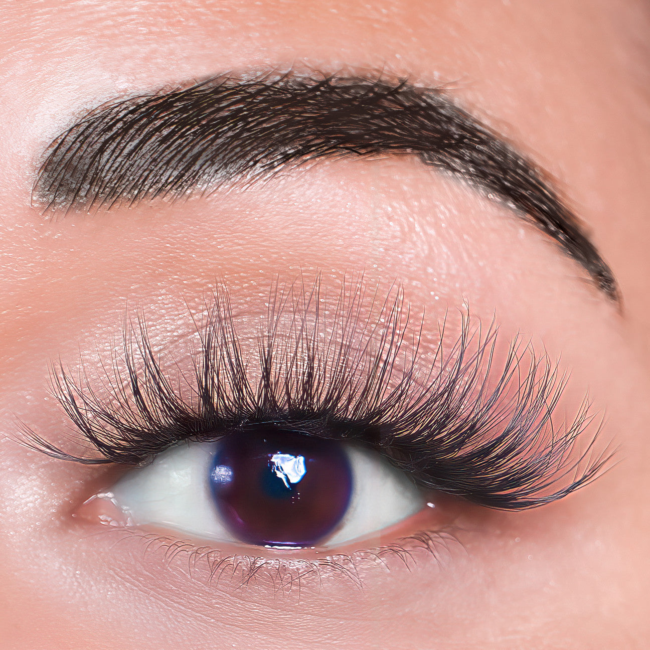 Melanie Jean Plant Fiber Tease Lash Style, free shipping, multi use lash, glamorous lashes